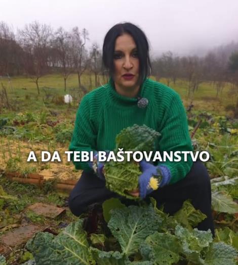 baštovanstvo 1.png