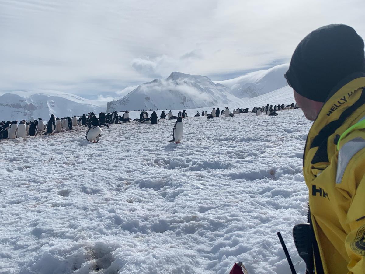 Marko Milošević (13).jpg