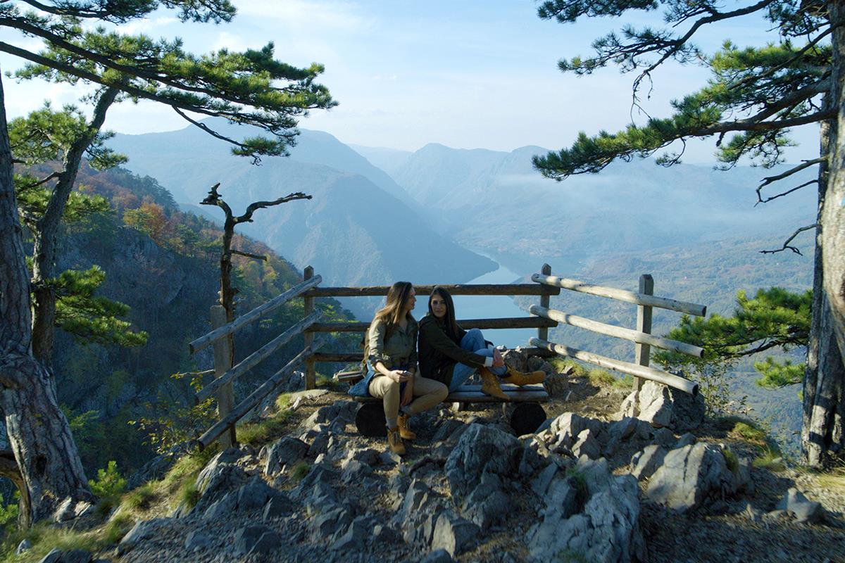 Tara, autor NIRA.jpg