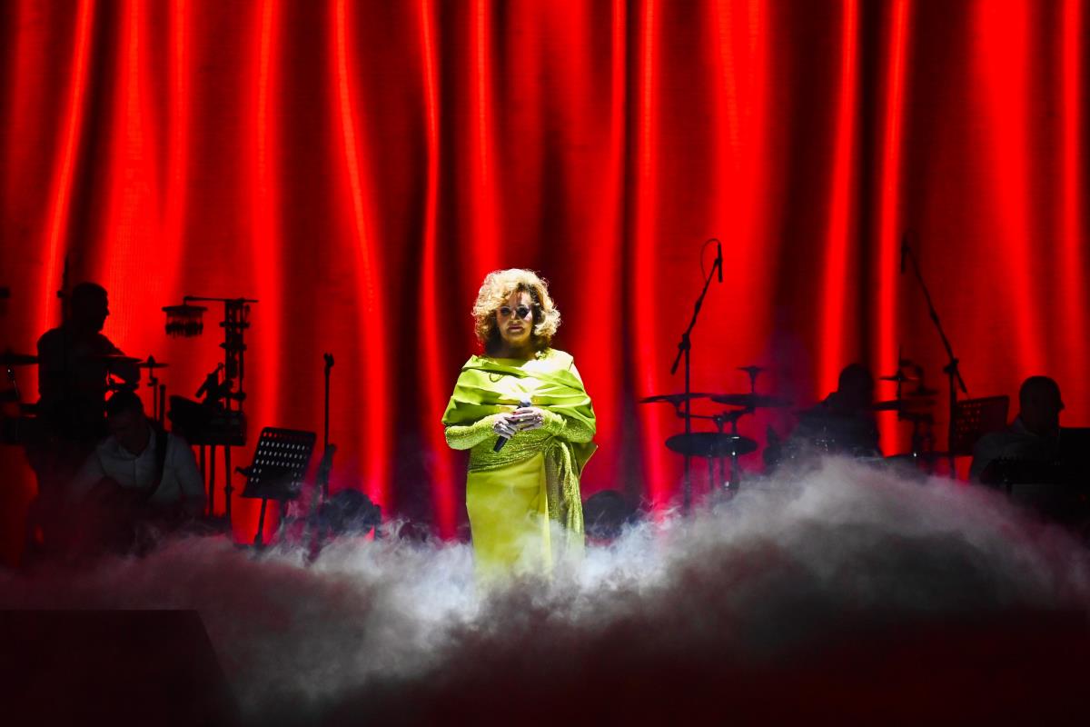 WhatsApp Image 2026-02-14 at 21.17.12.jpeg