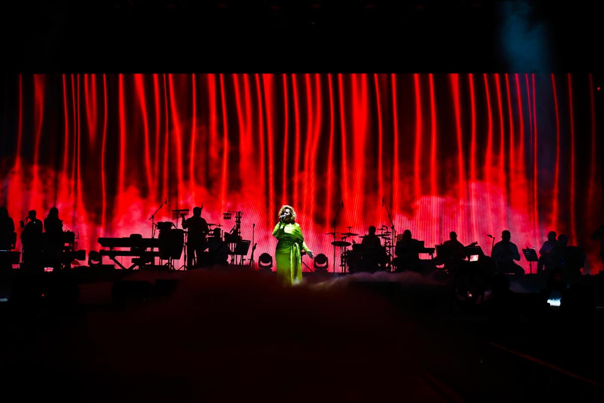 WhatsApp Image 2026-02-14 at 21.17.13 (5).jpeg