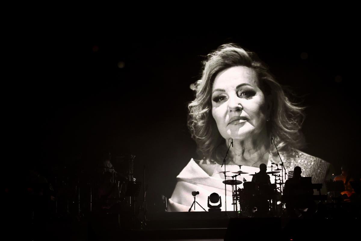 WhatsApp Image 2026-02-14 at 21.27.07 (1).jpeg