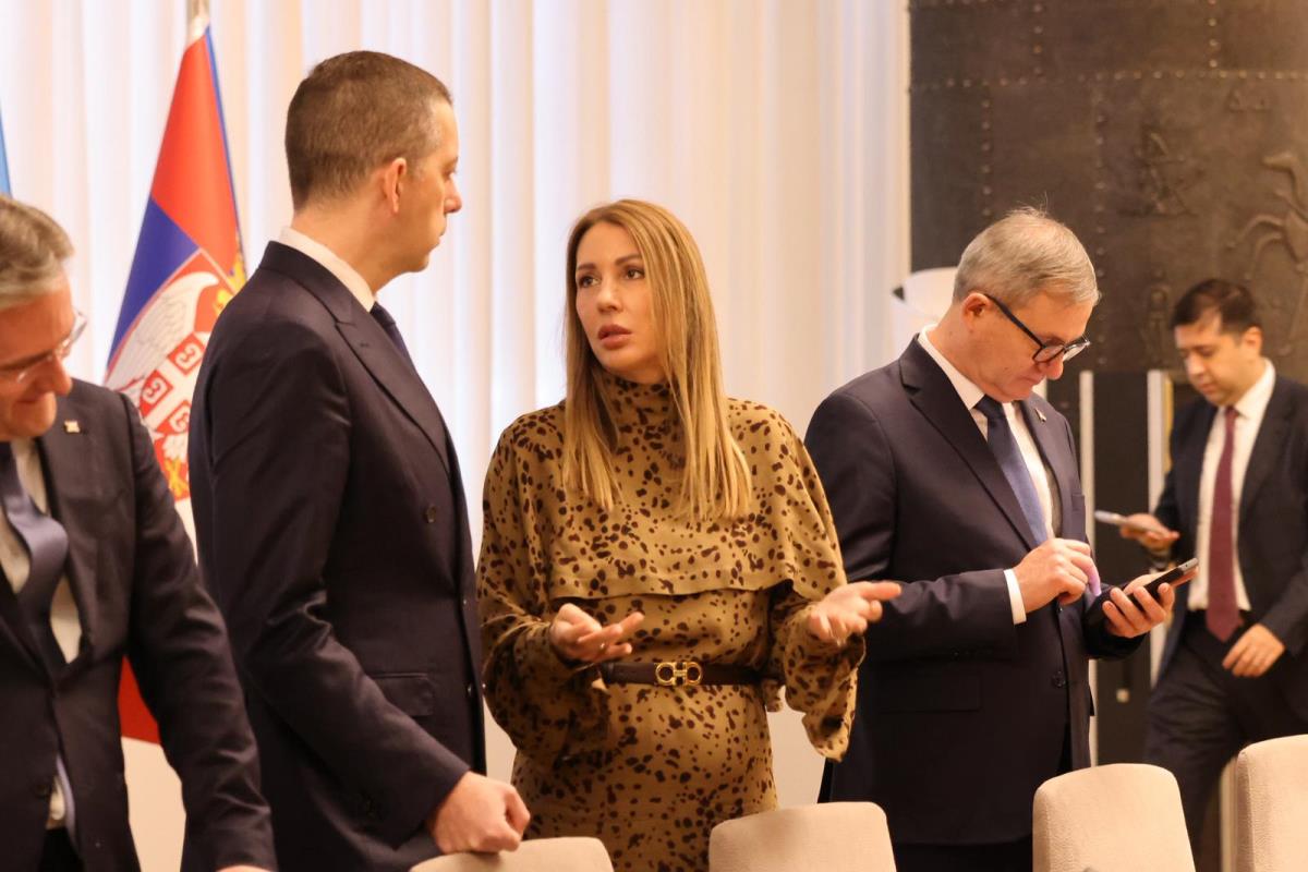 Ilham Alijev Aleksandar Vučić Sastanak (59).jpeg