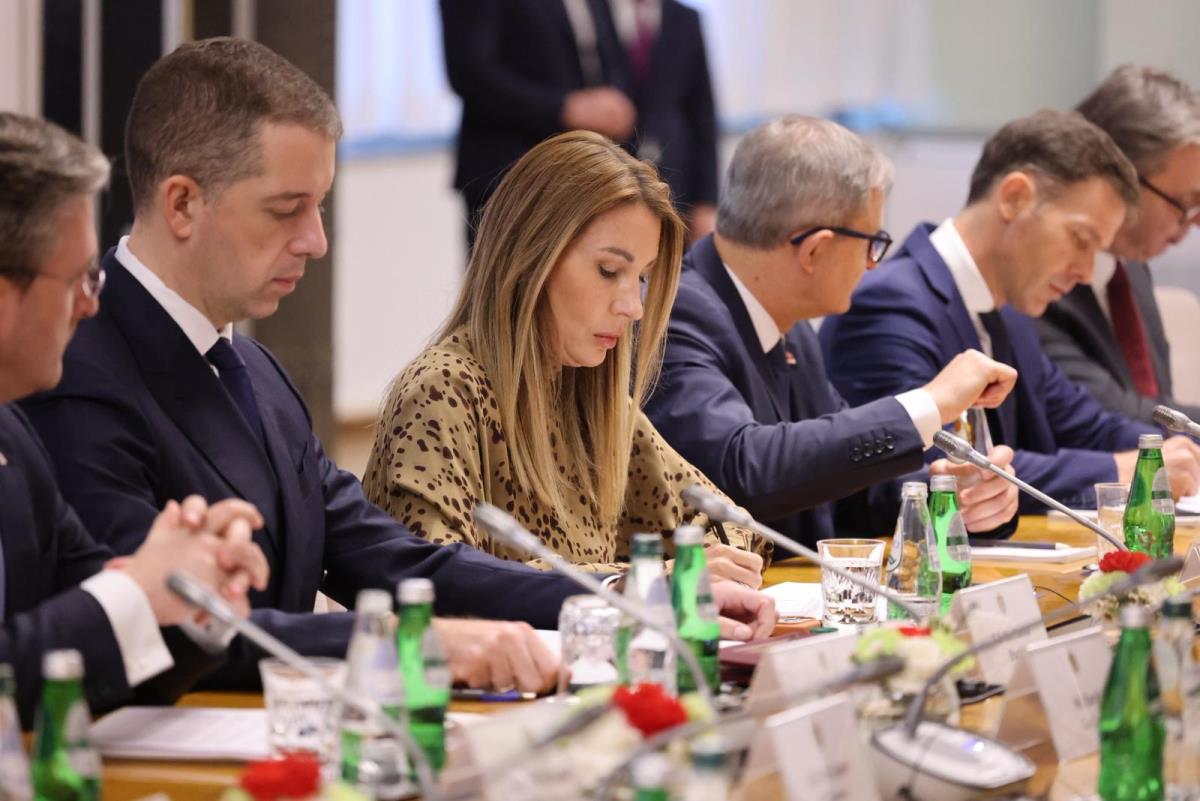 Ilham Alijev Aleksandar Vučić Sastanak (49).jpeg