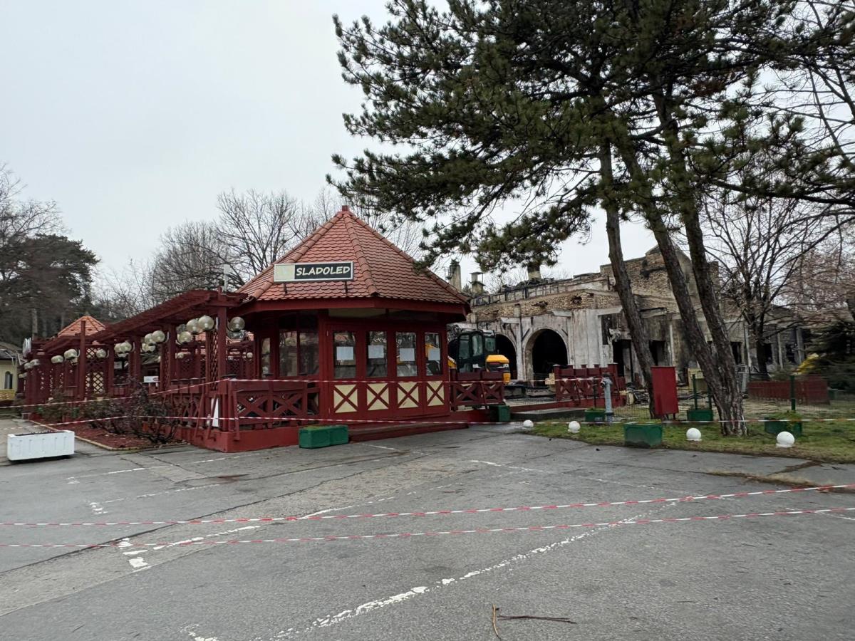 WhatsApp Image 2026-02-15 at 16.38.30.jpeg