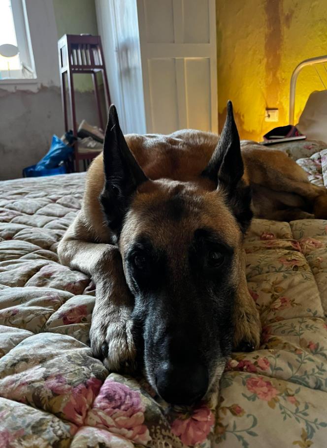 Screenshot 2026-02-16 142535.png