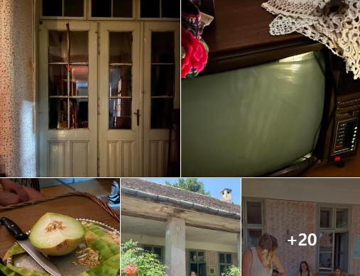 Screenshot 2026-02-16 142823.png