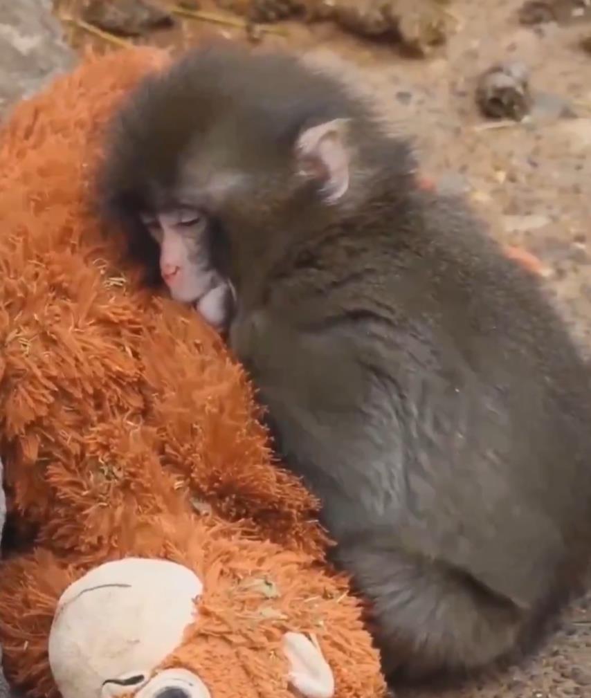 Screenshot 2026-02-16 200917.jpg