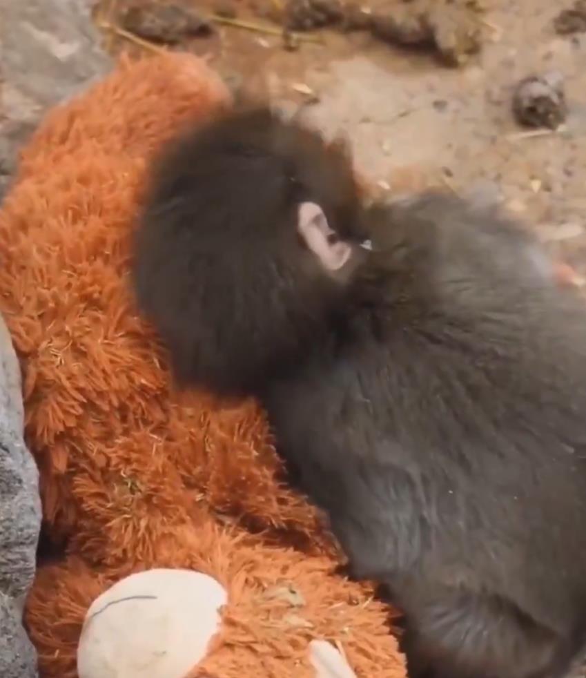 Screenshot 2026-02-16 200901.png