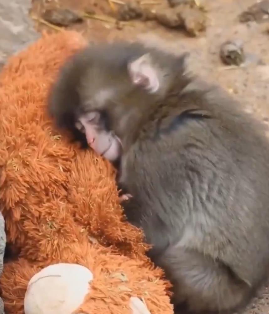 Screenshot 2026-02-16 200853.png