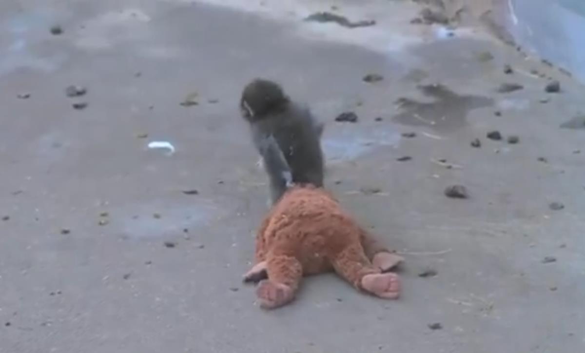 Screenshot 2026-02-16 200706.png