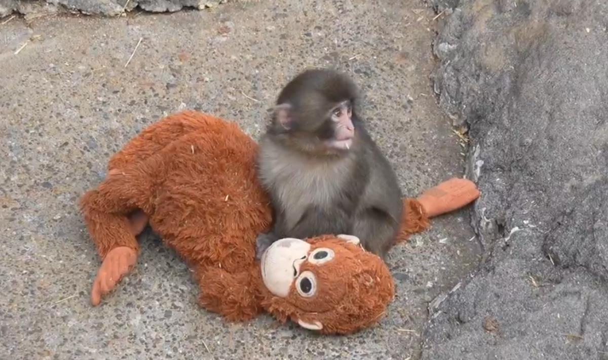 Screenshot 2026-02-16 200634.png