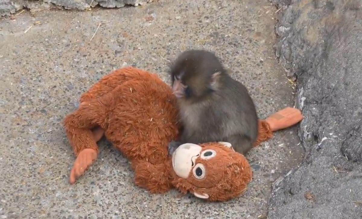 Screenshot 2026-02-16 200612.png