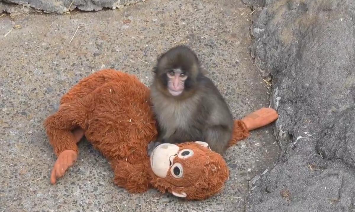 Screenshot 2026-02-16 200606.png