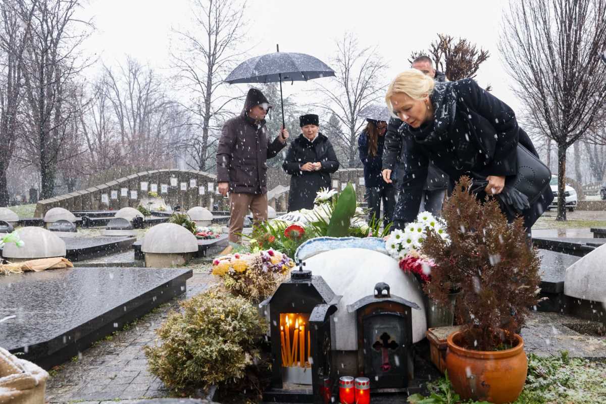 WhatsApp Image 2026-02-17 at 10.52.18.jpeg