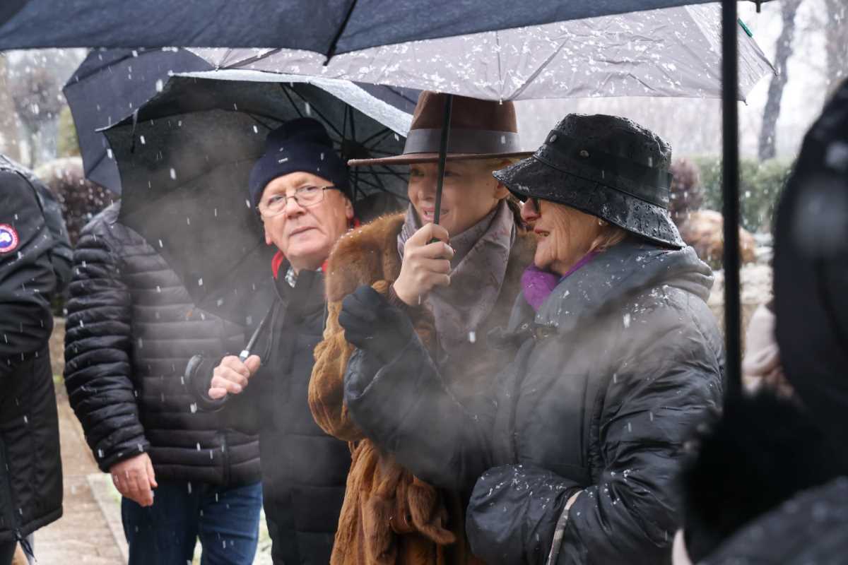 WhatsApp Image 2026-02-17 at 10.52.16 (1).jpeg