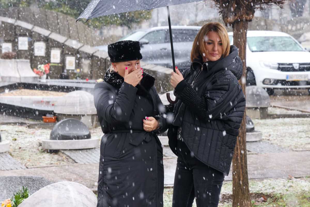 WhatsApp Image 2026-02-17 at 10.52.13.jpeg