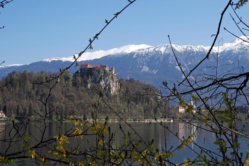 Bled stazama Riklija