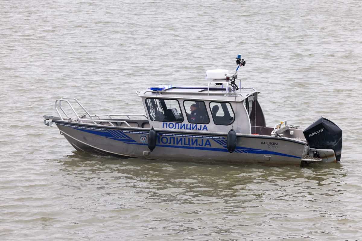 WhatsApp Image 2026-02-17 at 16.04.18 (1).jpeg