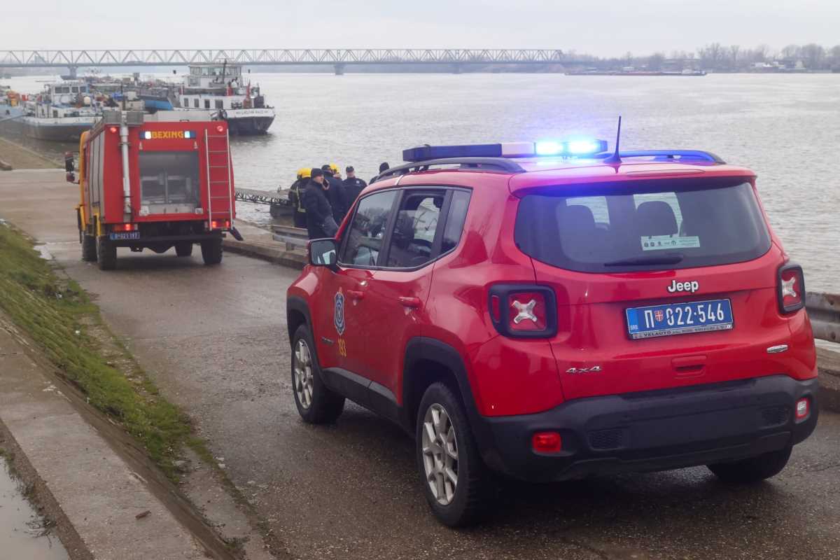 WhatsApp Image 2026-02-17 at 16.17.28.jpeg