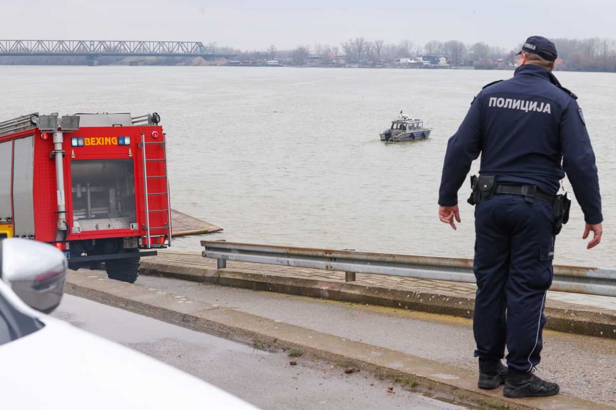 WhatsApp Image 2026-02-17 at 16.17.29 (1).jpeg