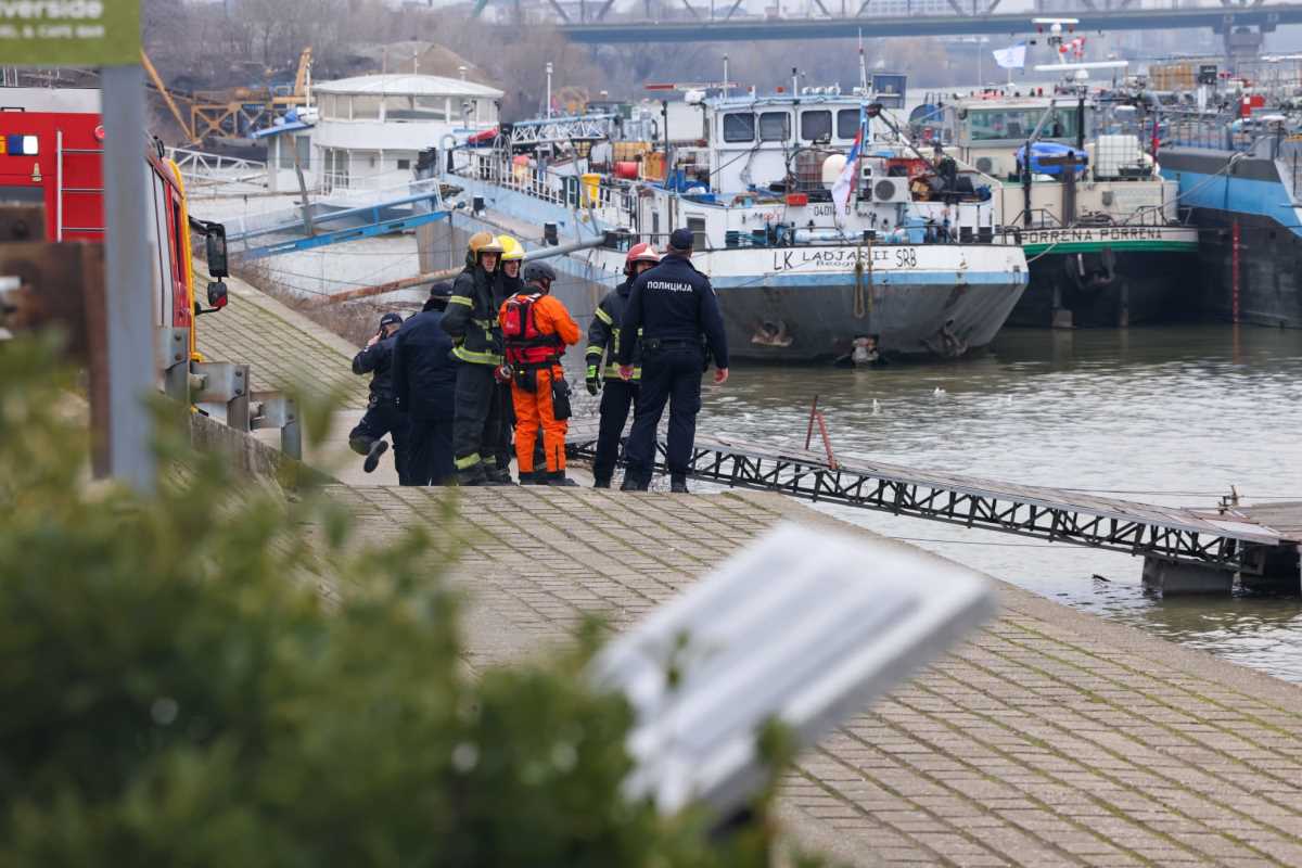 WhatsApp Image 2026-02-17 at 16.17.31.jpeg