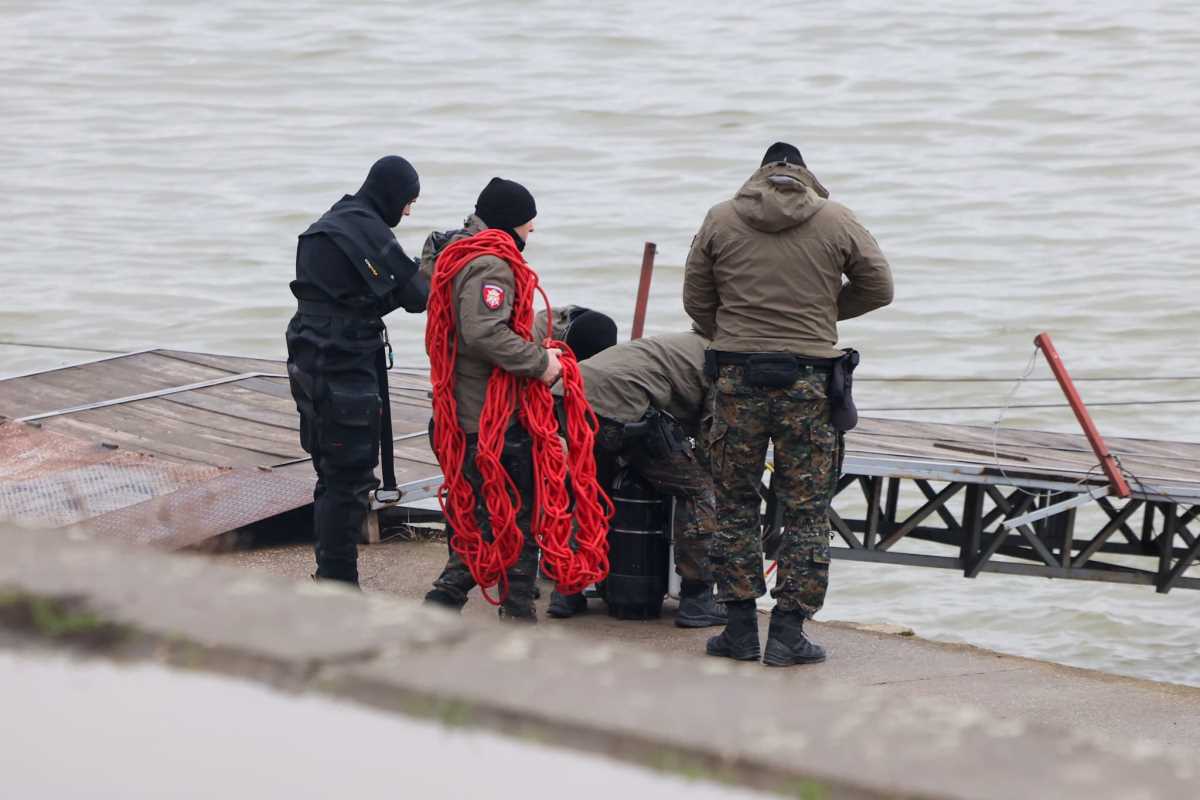 WhatsApp Image 2026-02-17 at 16.35.08.jpeg