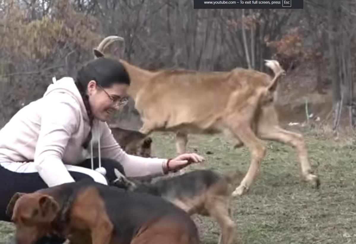 Jovana Rajković  (1).png