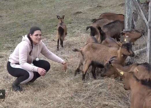 Jovana kozarica2.jpg