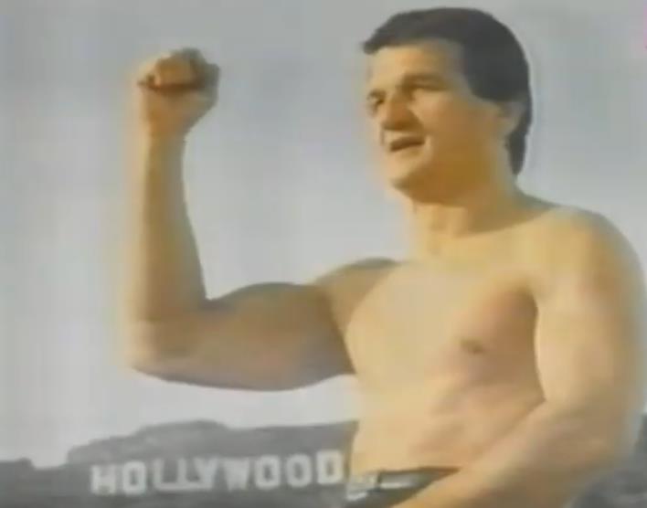 Miodrag Stojanović Gidra