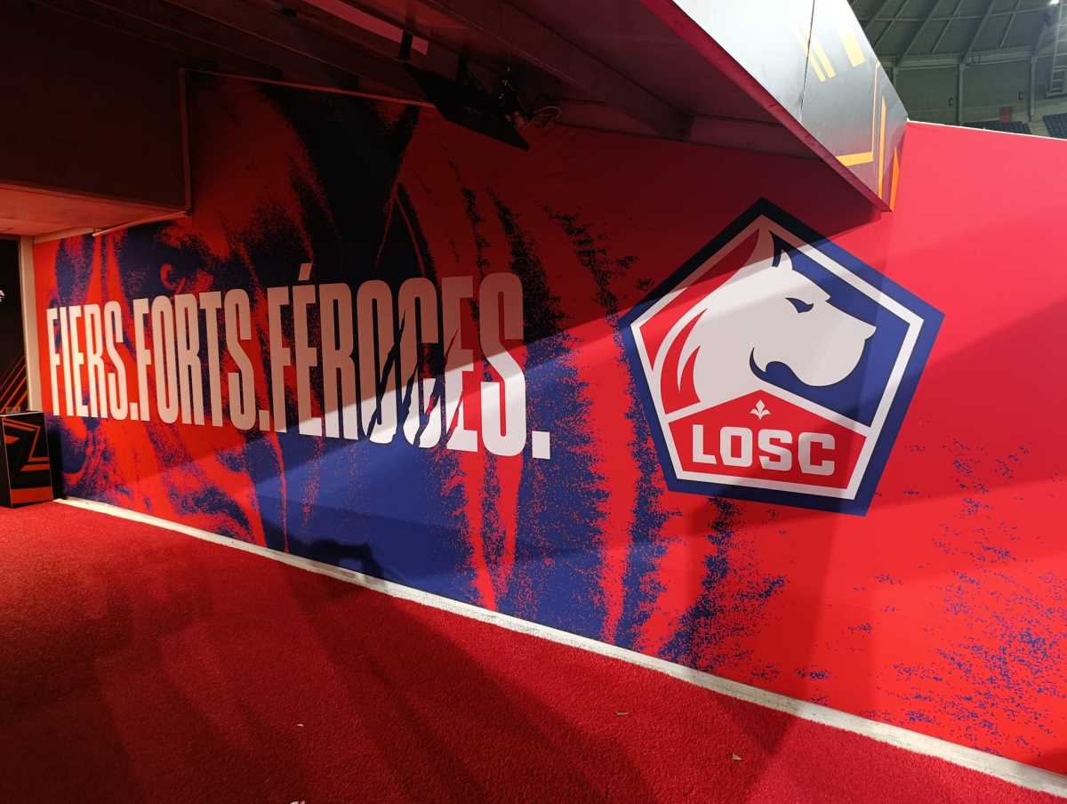 WhatsApp Image 2026-02-19 at 10.07.15 AM.jpeg