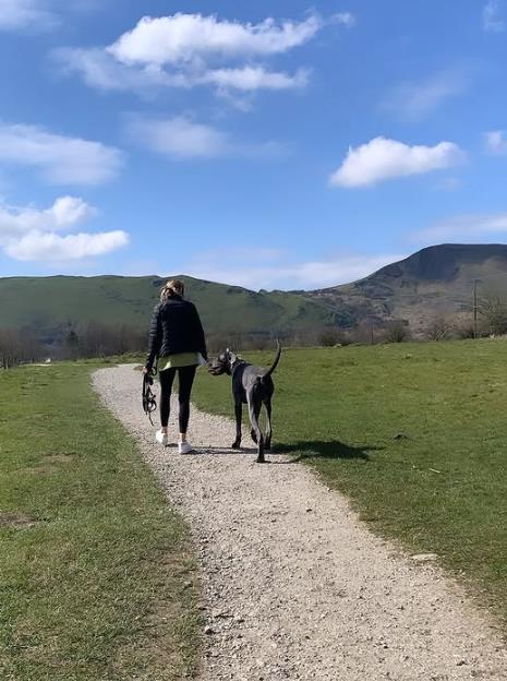 Velington, nemačka doga iz Derbišira visoku preko 190cm (4).png