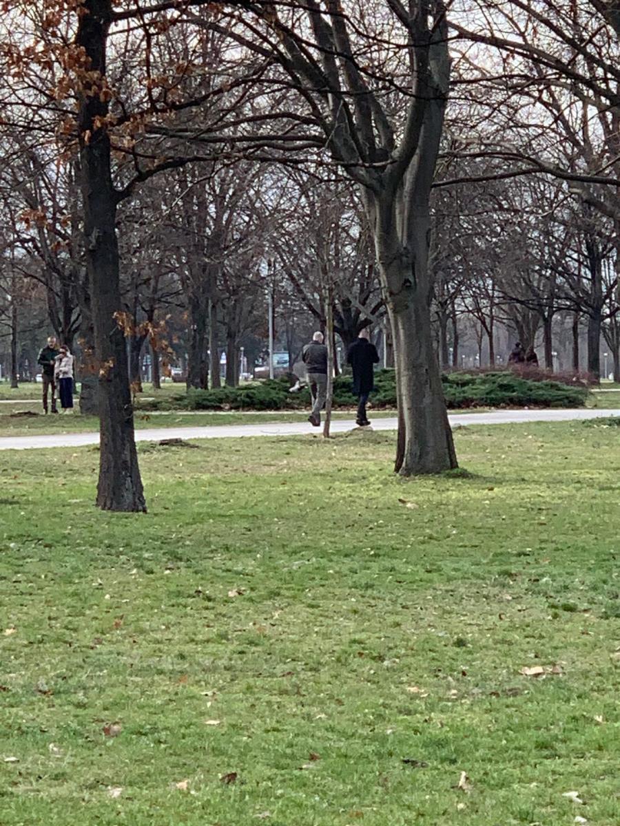 WhatsApp Image 2026-02-19 at 15.04.49.jpeg