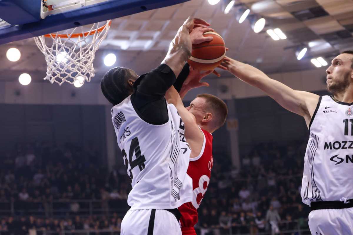 WhatsApp Image 2026-02-19 at 9.04.43 PM.jpeg