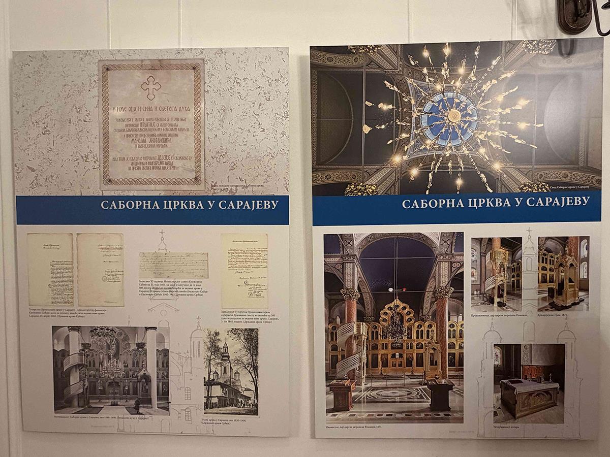 Nikola Selaković (5).jpg