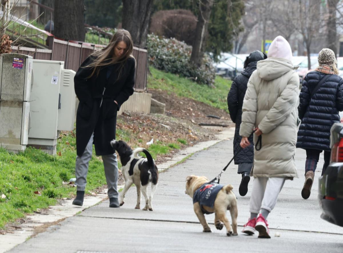 Dijana Hrkalović suđenje.jpeg