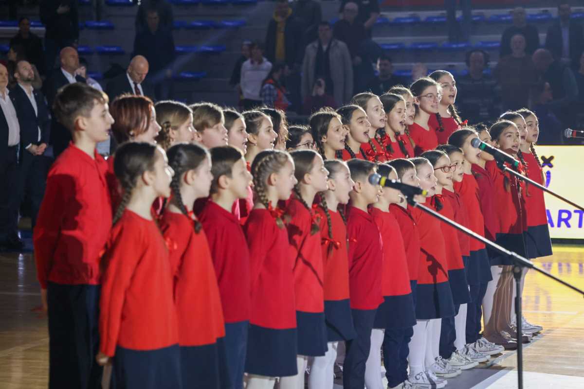 WhatsApp Image 2026-02-20 at 16.40.40 (1).jpeg