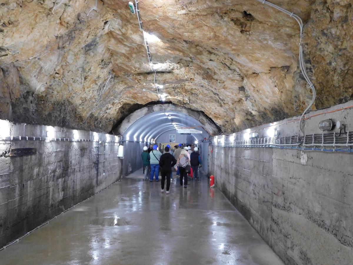 MALI ZVORNIK - Sve više posetilaca.JPG