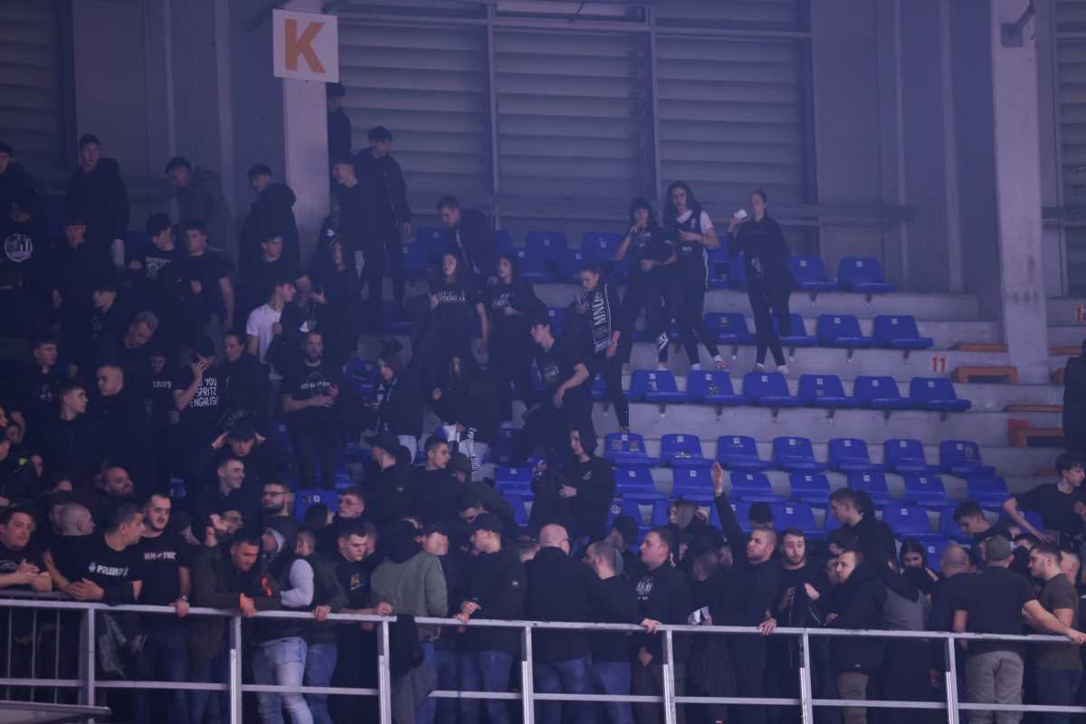 WhatsApp Image 2026-02-20 at 22.32.44.jpeg