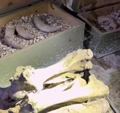 tvrdjava4 - Copy.png