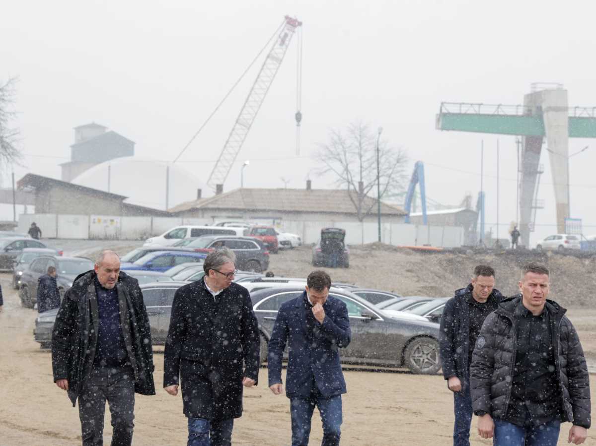 Aleksandar Vuić Luka Prahovo (3).jpeg