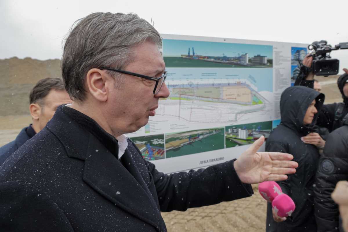 Aleksandar Vuić Luka Prahovo (7).jpeg