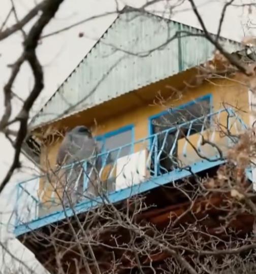 Screenshot 2026-02-22 111026.png