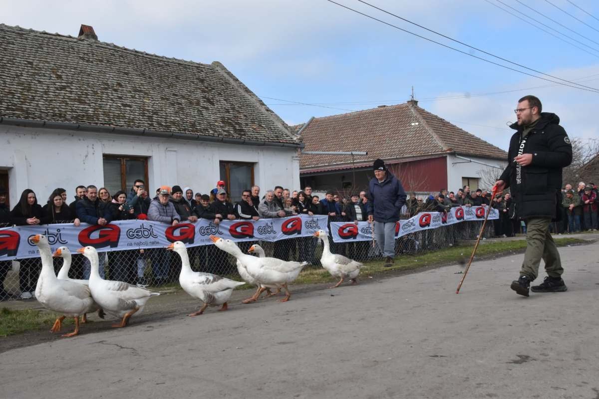 WhatsApp Image 2026-02-22 at 16.06.15 (1).jpeg