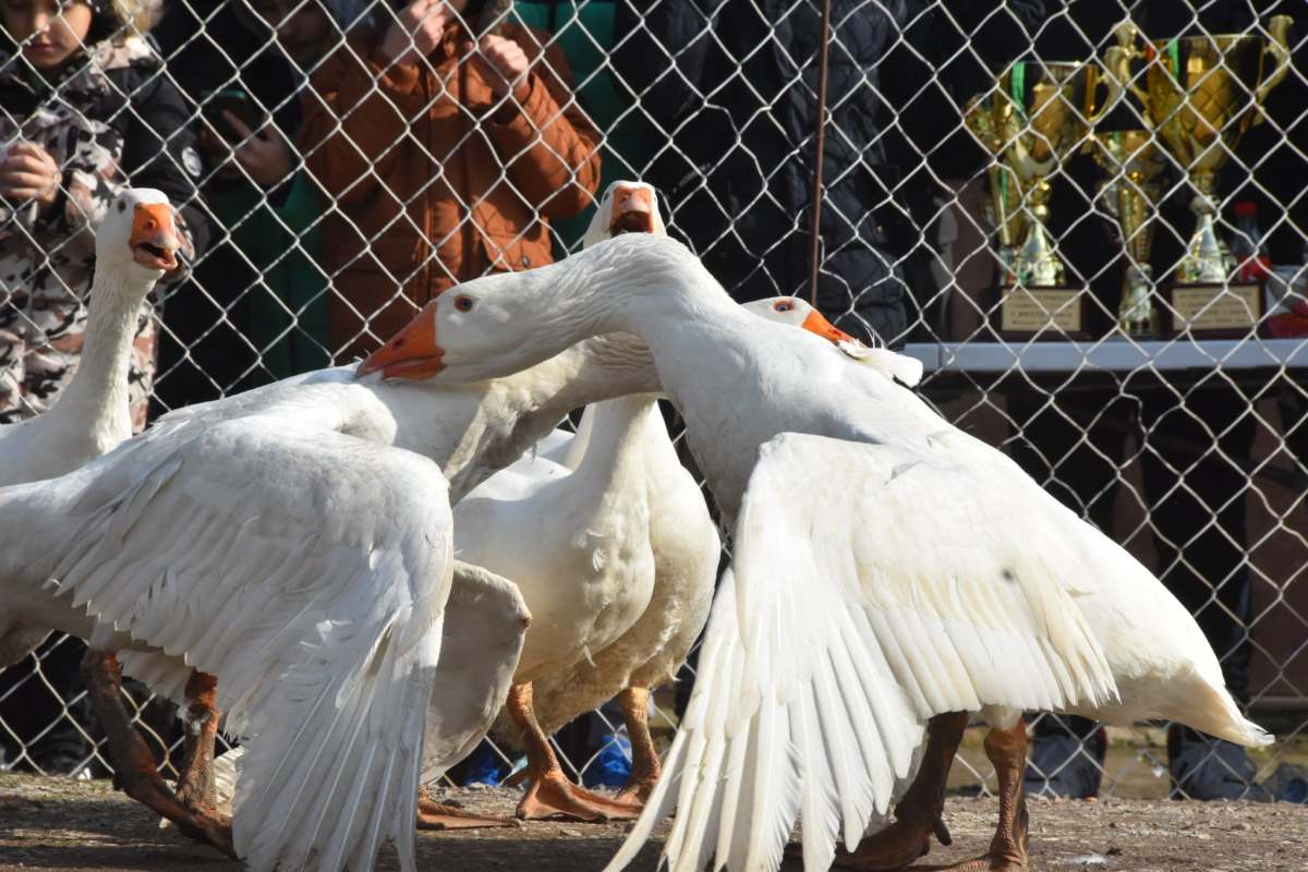 WhatsApp Image 2026-02-22 at 16.06.15 (2).jpeg