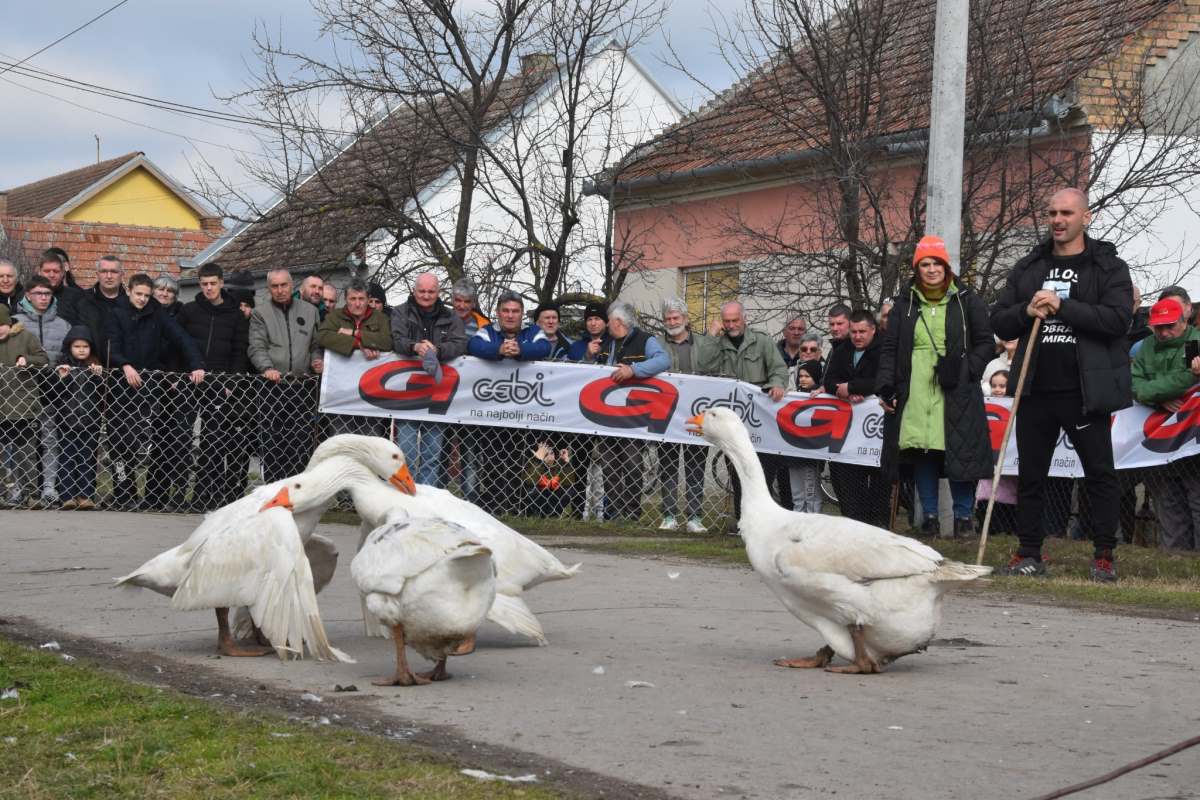 WhatsApp Image 2026-02-22 at 16.06.16 (1).jpeg