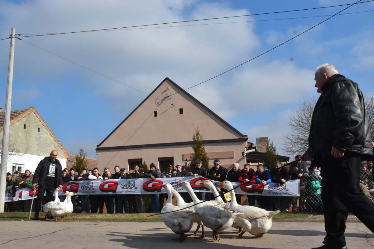 WhatsApp Image 2026-02-22 at 16.06.16.jpeg