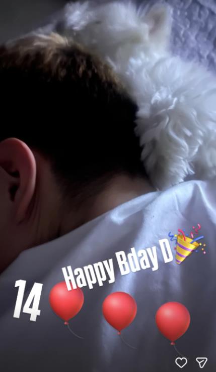 Slavlje u domu Žike Jakšića i Dajane Paunović