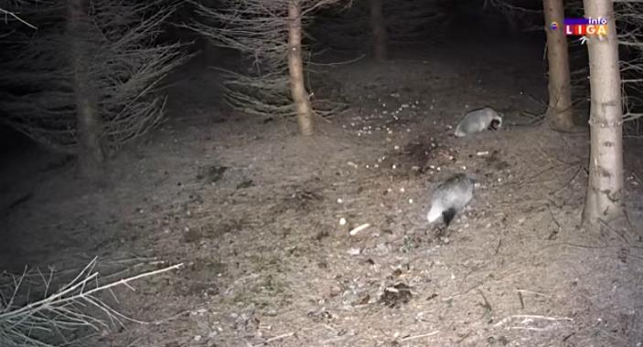 Screenshot 2026-02-24 084804.png