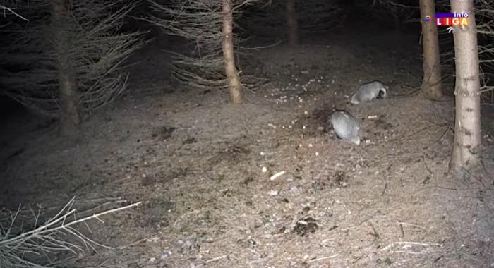 Screenshot 2026-02-24 084815.png